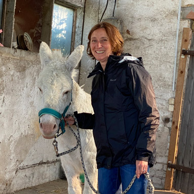 Tiergestütztes Arbeiten